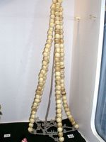 ���������� ���