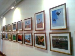 �������� ���������� ���