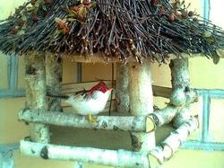 �������� ���������� ���