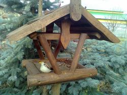 �������� ���������� ���