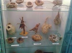 �������� ���������� ���