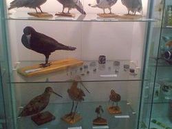 �������� ���������� ���