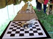 �������� ������