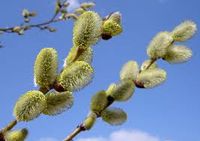 �������������� ������