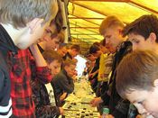 �������� ������