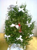 ��� ���� �����?