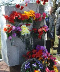 ���� ������������