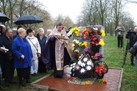 ������������� ���� ������������ ������� ���������� �����������