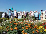 ����������� ��������