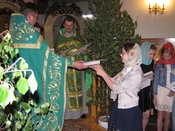 ������ ���������� �����