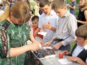 ������ ���������� �����