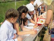 ������ ���������� �����