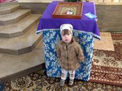 ������� �� ������ �������� ���� � ���������� �����