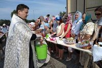 ������������ ��������