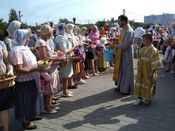 ������������ ��������