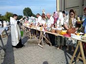 ������������ ��������