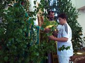 ������ ���������� �����