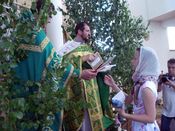 ������ ���������� �����