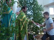 ������ ���������� �����