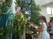 ������ ���������� �����