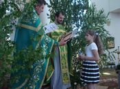 ������ ���������� �����