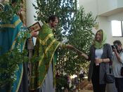 ������ ���������� �����