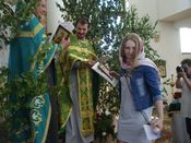 ������ ���������� �����