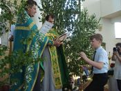 ������ ���������� �����