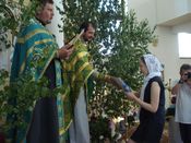 ������ ���������� �����