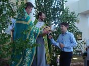 ������ ���������� �����