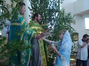 ������ ���������� �����