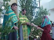 ������ ���������� �����