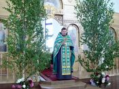 ������ ���������� �����