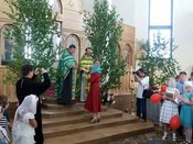 ������ ���������� �����