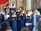 ������ ������