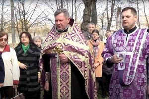 ���� ������������