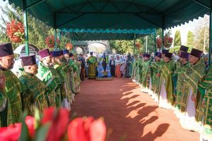 �����. ��������, ��. ����������