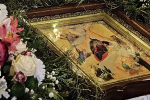 ��������� �������� 