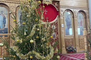 ��������� �������� 