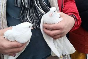 �������� ��������