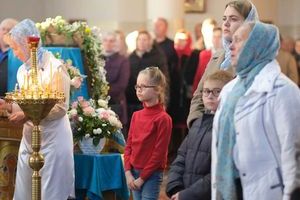 �������������� �����