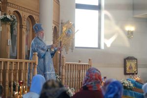 �������������� �����