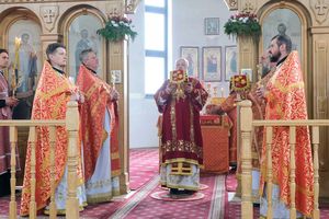 �������������� �����