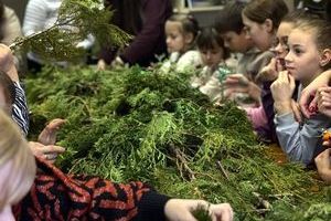 �������������� �����