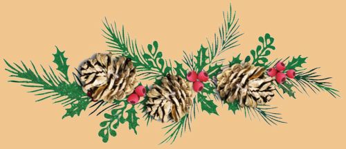 ������ �����