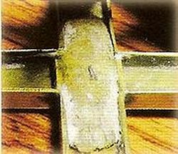 ����� ������