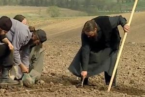 ����� �������